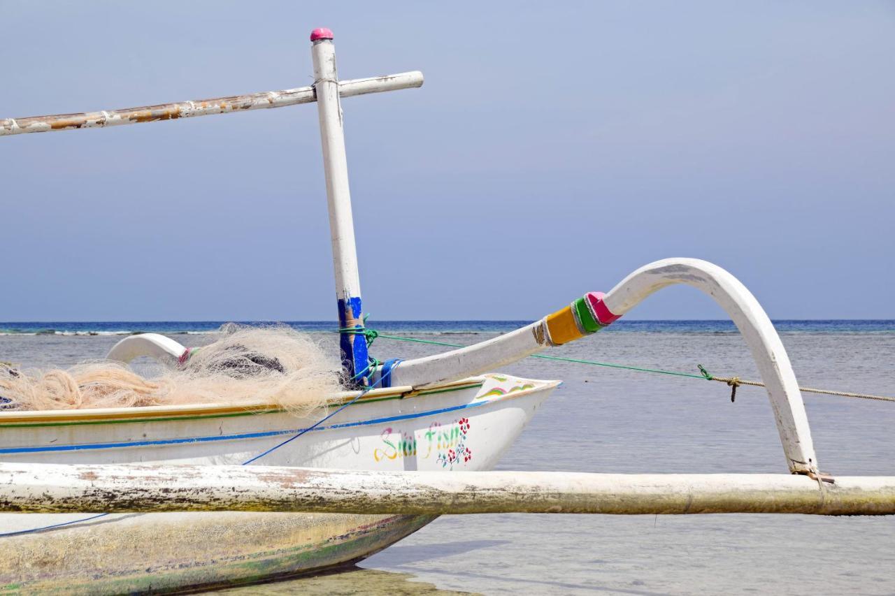 Divine Divers Gili Meno Eksteriør billede