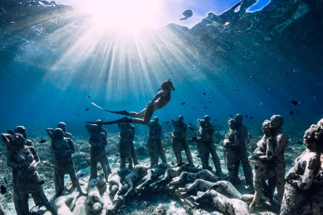 Divine Divers Gili Meno Eksteriør billede