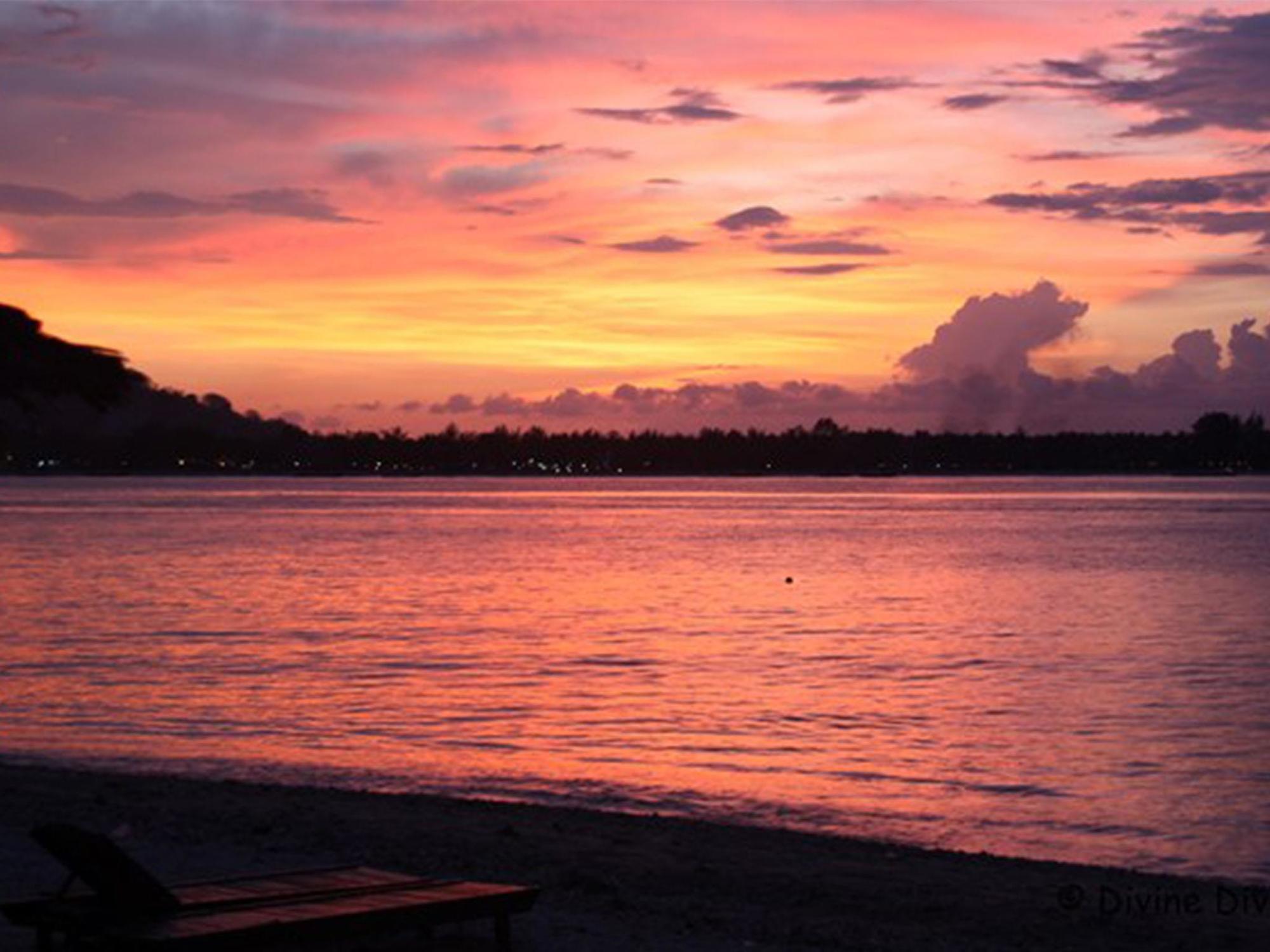 Divine Divers Gili Meno Eksteriør billede